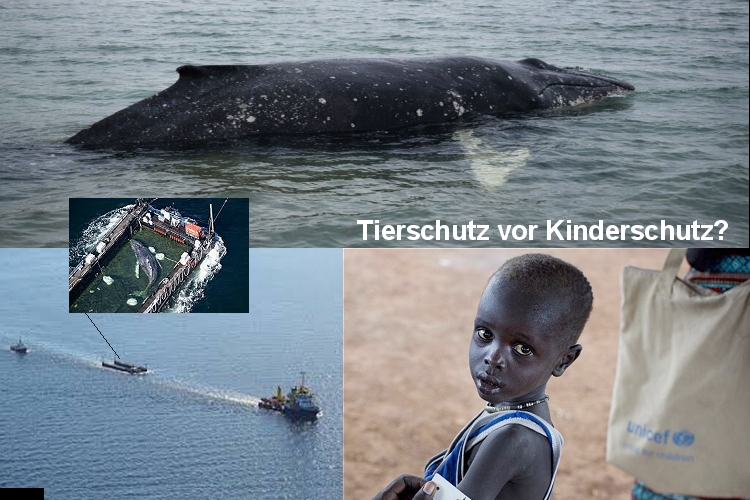 2 Millionen Euro für ein sterbendes Tier: Der Gipfel der moralischen Dekadenz!